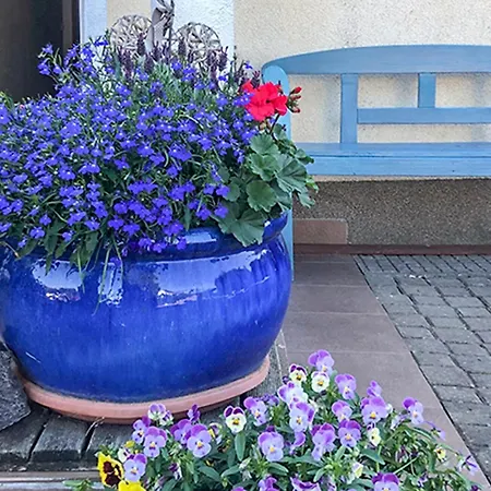 1 Bedroom Cozy In Апартаменты Сарбиново